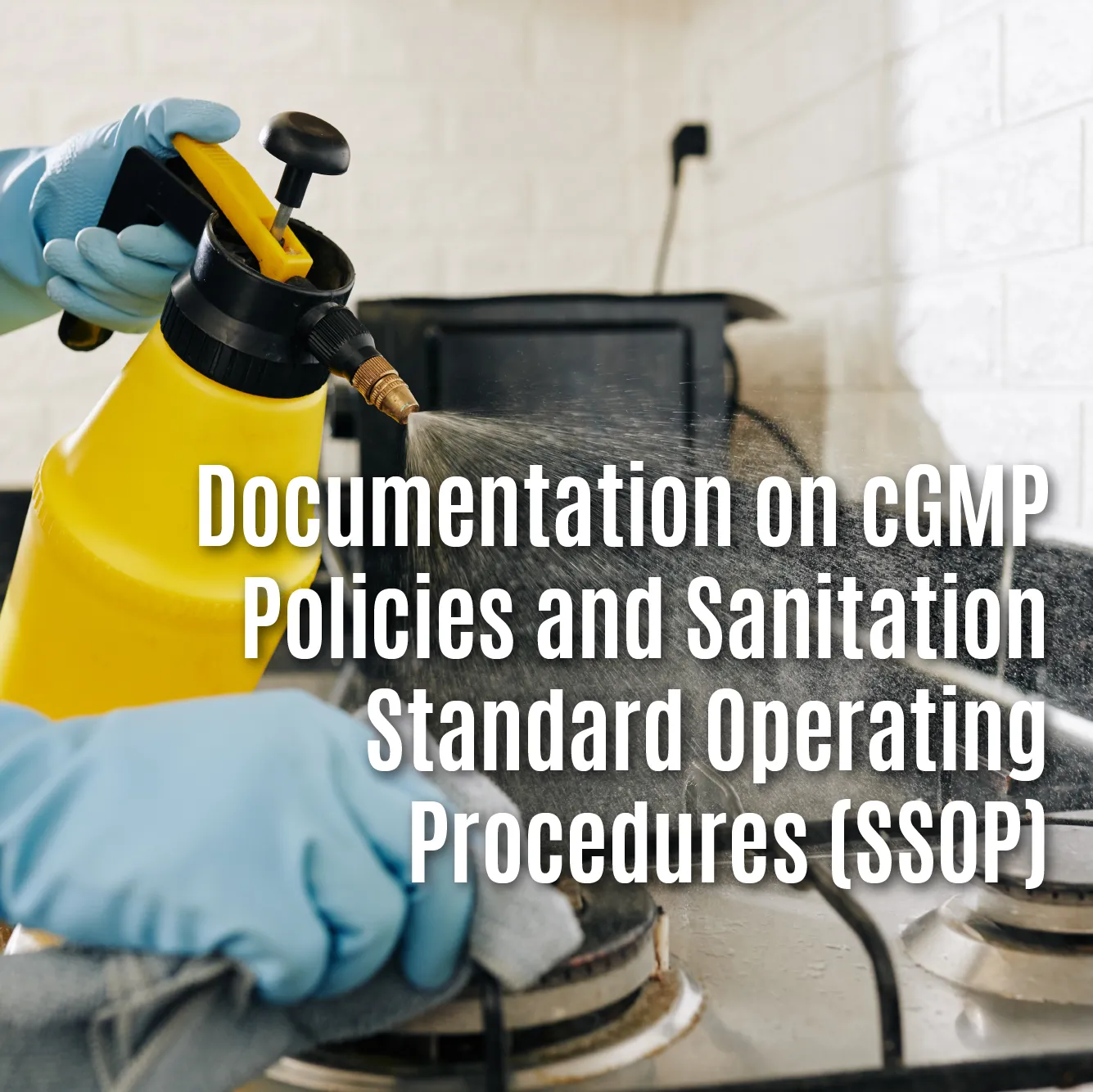 Documentation of cGMP Policies and Sanitation Standard Operating Procedures (SSOP)