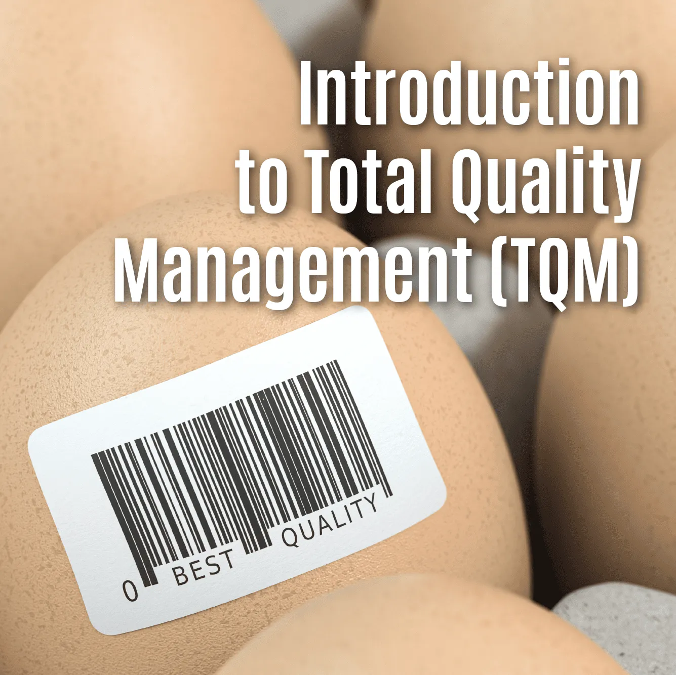 Total Productive Maintenance (TPM)