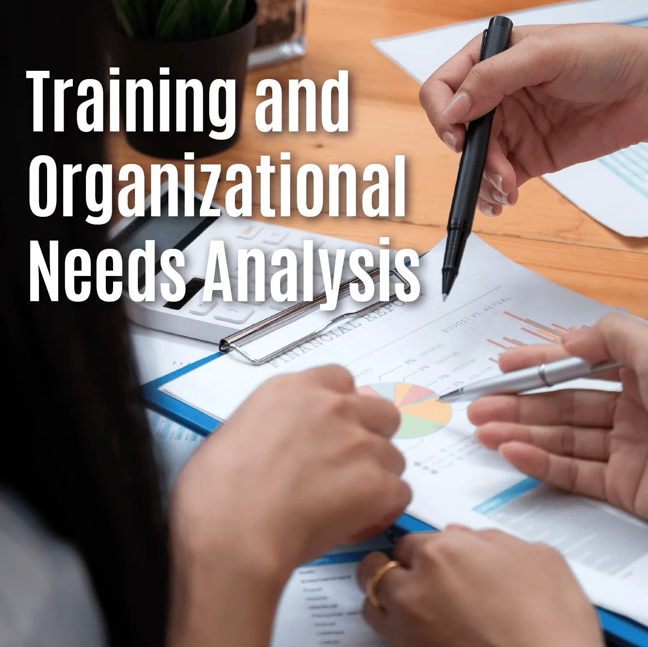 Training and Organizational Needs Analysis